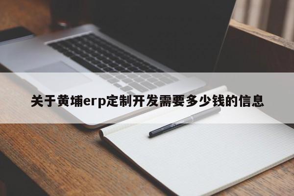 关于黄埔erp定制开发需要多少钱的信息