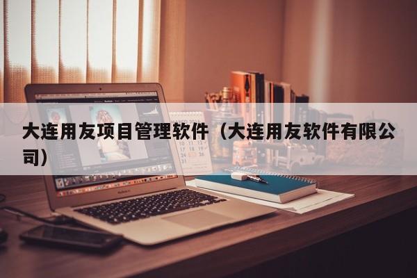 大连用友项目管理软件（大连用友软件有限公司）