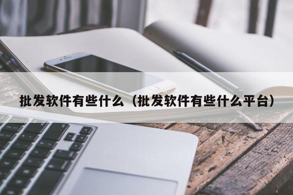 批发软件有些什么（批发软件有些什么平台）