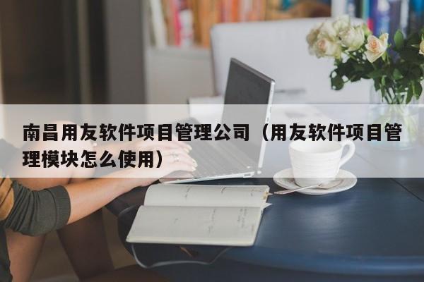 南昌用友软件项目管理公司（用友软件项目管理模块怎么使用）