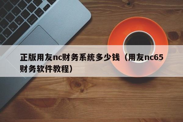 正版用友nc财务系统多少钱（用友nc65财务软件教程）