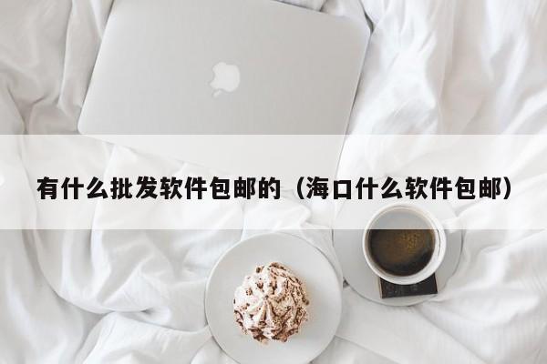 有什么批发软件包邮的（海口什么软件包邮）