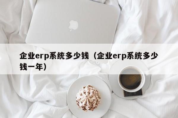 企业erp系统多少钱（企业erp系统多少钱一年）