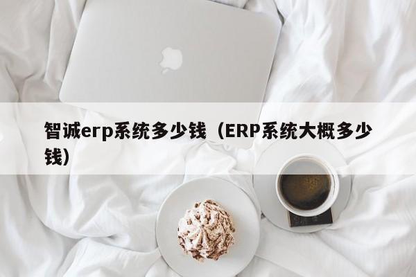 智诚erp系统多少钱（ERP系统大概多少钱）