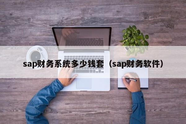 sap财务系统多少钱套（sap财务软件）