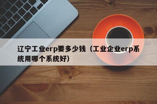 辽宁工业erp要多少钱（工业企业erp系统用哪个系统好）