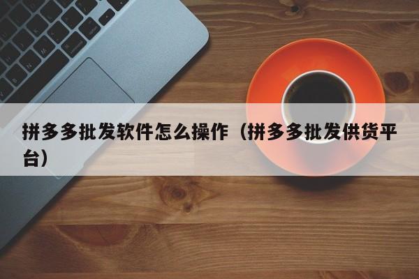 拼多多批发软件怎么操作（拼多多批发供货平台）