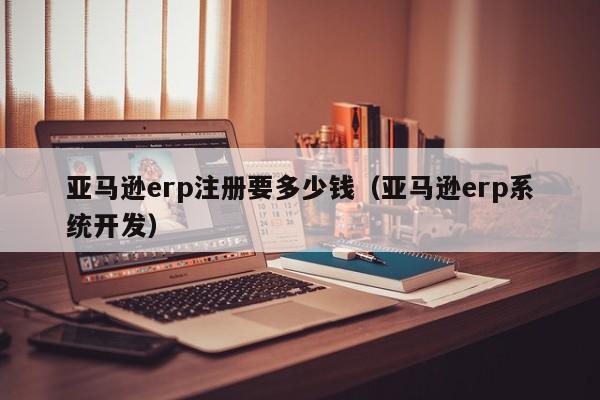 亚马逊erp注册要多少钱（亚马逊erp系统开发）