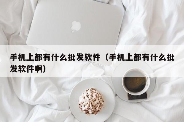 手机上都有什么批发软件（手机上都有什么批发软件啊）