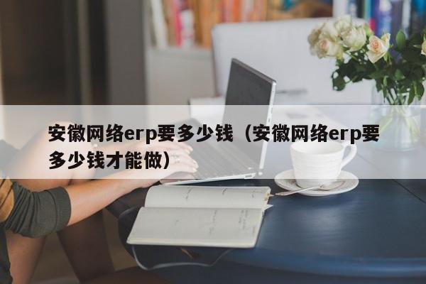 安徽网络erp要多少钱（安徽网络erp要多少钱才能做）