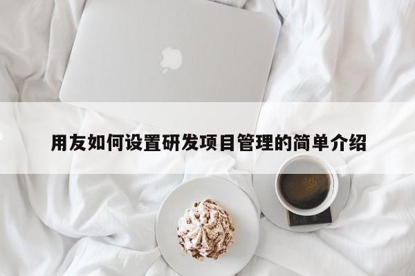 用友如何设置研发项目管理的简单介绍