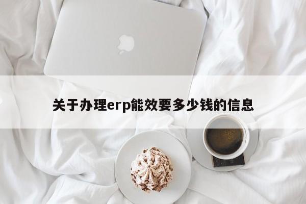 关于办理erp能效要多少钱的信息