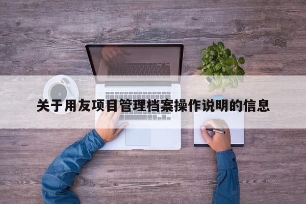 关于用友项目管理档案操作说明的信息