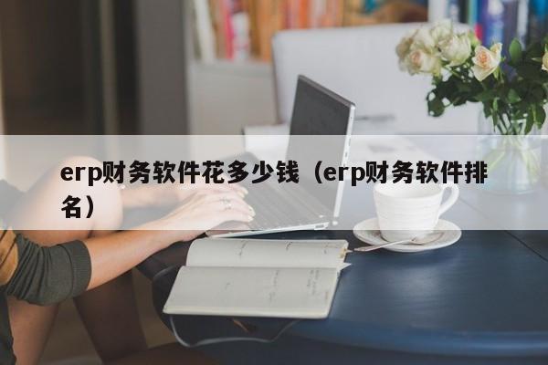 erp财务软件花多少钱（erp财务软件排名）