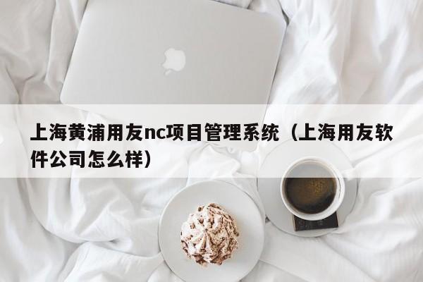 上海黄浦用友nc项目管理系统（上海用友软件公司怎么样）