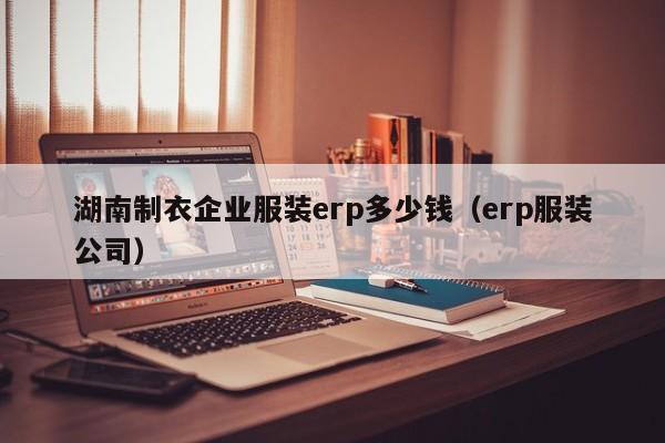 湖南制衣企业服装erp多少钱（erp服装公司）