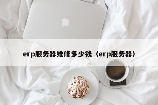 erp服务器维修多少钱（erp服务器）