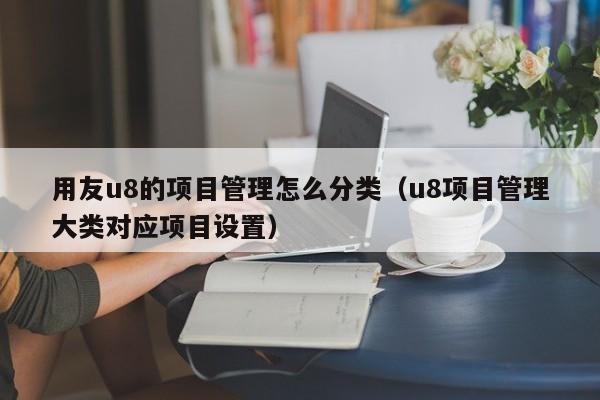 用友u8的项目管理怎么分类（u8项目管理大类对应项目设置）