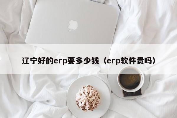 辽宁好的erp要多少钱（erp软件贵吗）