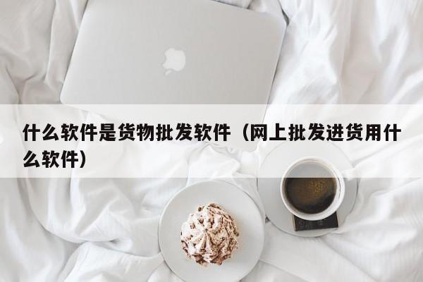 什么软件是货物批发软件（网上批发进货用什么软件）