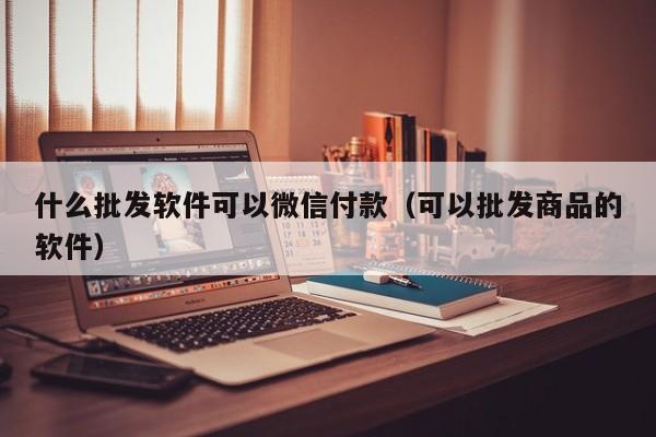 什么批发软件可以微信付款（可以批发商品的软件）