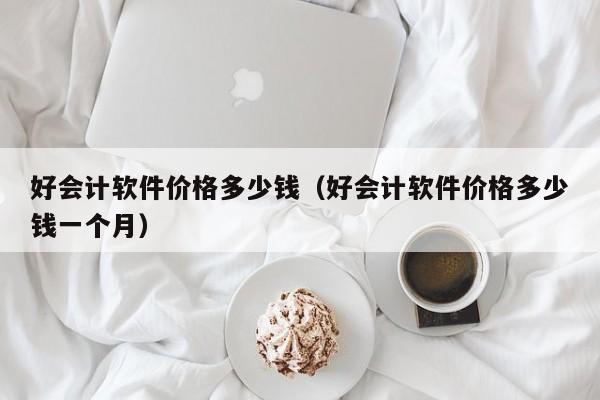 好会计软件价格多少钱（好会计软件价格多少钱一个月）