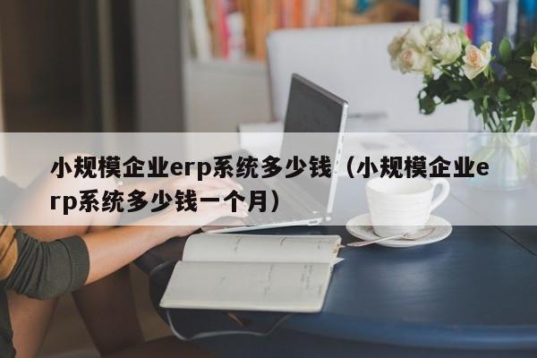 小规模企业erp系统多少钱（小规模企业erp系统多少钱一个月）