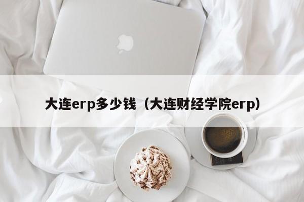 大连erp多少钱（大连财经学院erp）