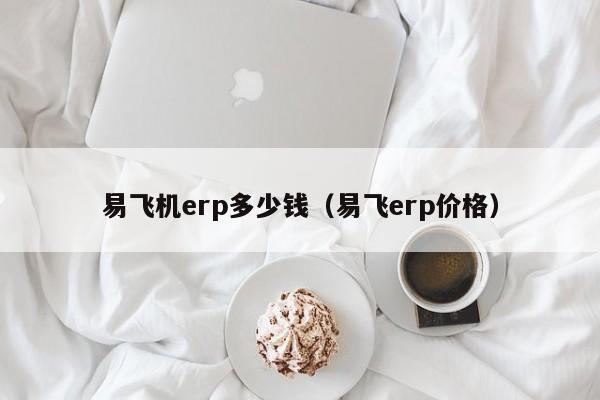 易飞机erp多少钱（易飞erp价格）