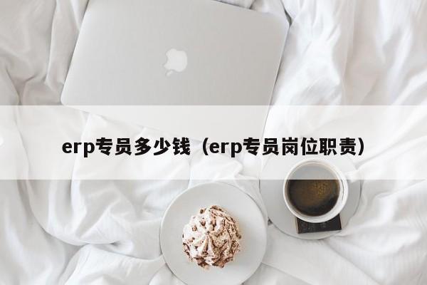 erp专员多少钱（erp专员岗位职责）