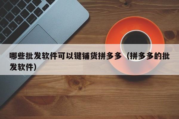 哪些批发软件可以键铺货拼多多（拼多多的批发软件）