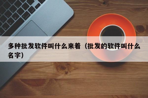 多种批发软件叫什么来着（批发的软件叫什么名字）