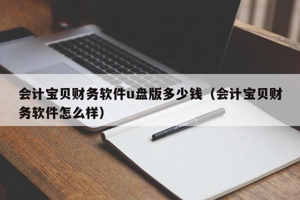 会计宝贝财务软件u盘版多少钱（会计宝贝财务软件怎么样）