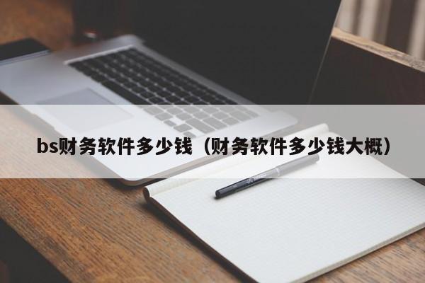 bs财务软件多少钱（财务软件多少钱大概）