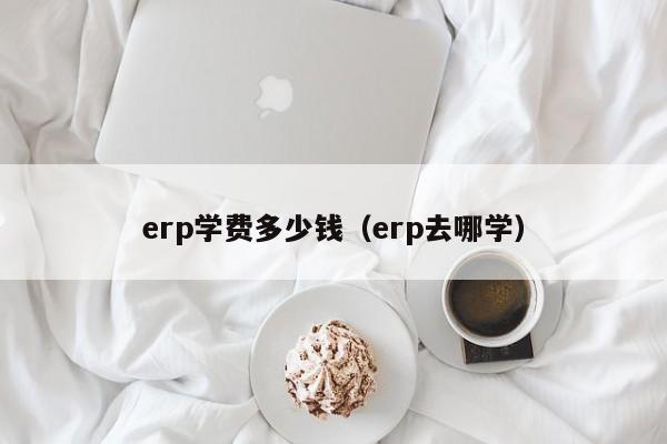 erp学费多少钱（erp去哪学）