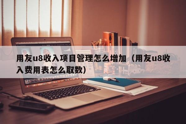 用友u8收入项目管理怎么增加（用友u8收入费用表怎么取数）