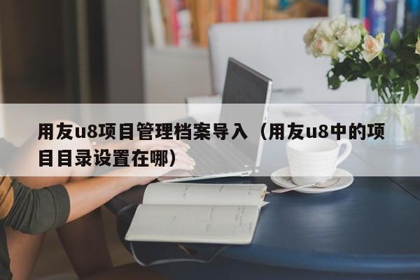 用友u8项目管理档案导入（用友u8中的项目目录设置在哪）