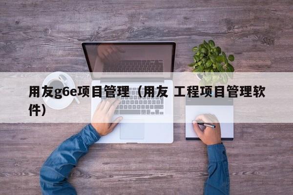 用友g6e项目管理（用友 工程项目管理软件）