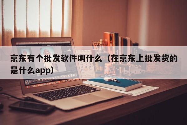 京东有个批发软件叫什么（在京东上批发货的是什么app）