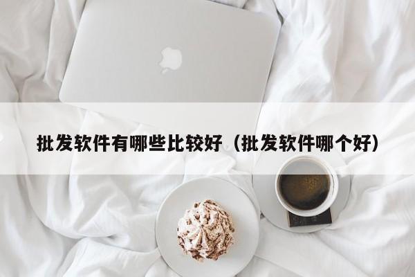 批发软件有哪些比较好（批发软件哪个好）