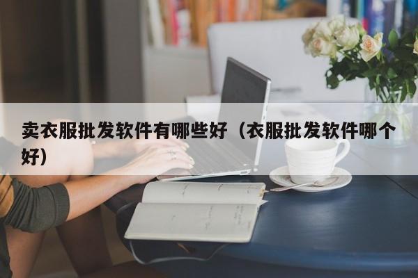 卖衣服批发软件有哪些好（衣服批发软件哪个好）