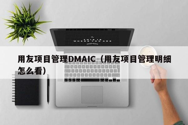 用友项目管理DMAIC（用友项目管理明细怎么看）