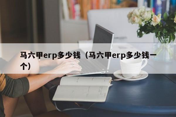 马六甲erp多少钱（马六甲erp多少钱一个）