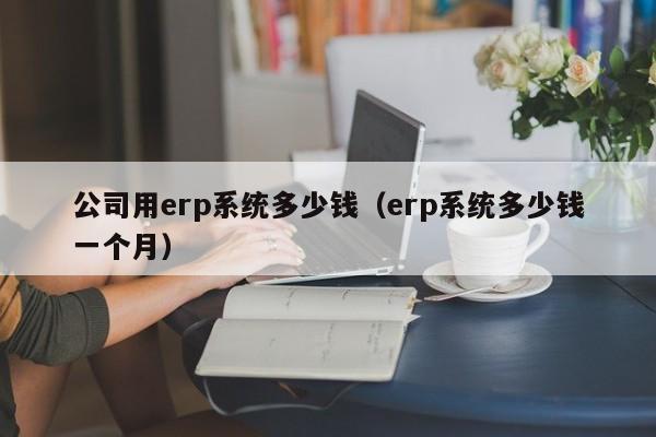 公司用erp系统多少钱（erp系统多少钱一个月）