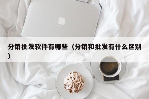 分销批发软件有哪些（分销和批发有什么区别）