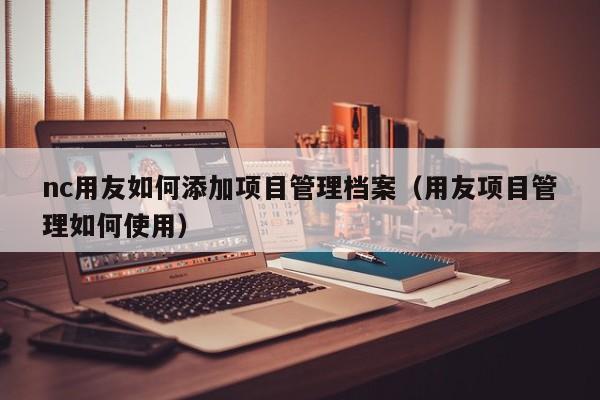 nc用友如何添加项目管理档案（用友项目管理如何使用）