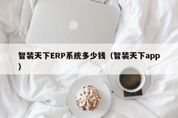 智装天下ERP系统多少钱（智装天下app）