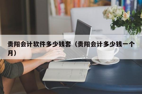 贵阳会计软件多少钱套（贵阳会计多少钱一个月）