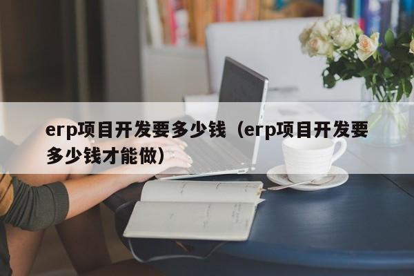 erp项目开发要多少钱（erp项目开发要多少钱才能做）