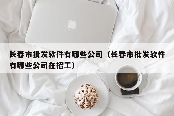 长春市批发软件有哪些公司（长春市批发软件有哪些公司在招工）